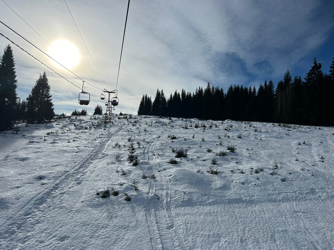 Telescaun (Chairlift)景点图片