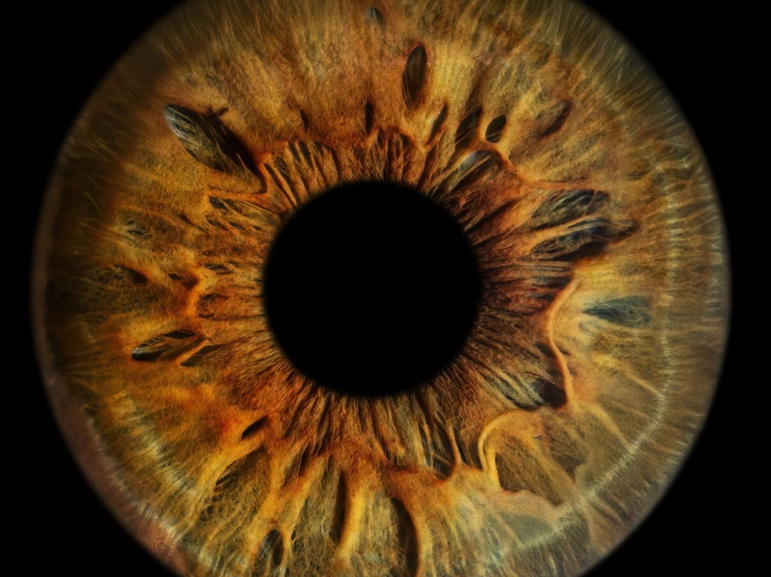 Artful Eye Creations-圣彼德斯堡必去景点