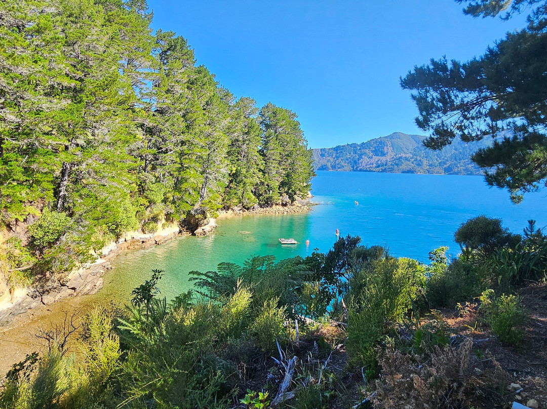 Tawa Cove Cabins-Endeavour Inlet必去景点