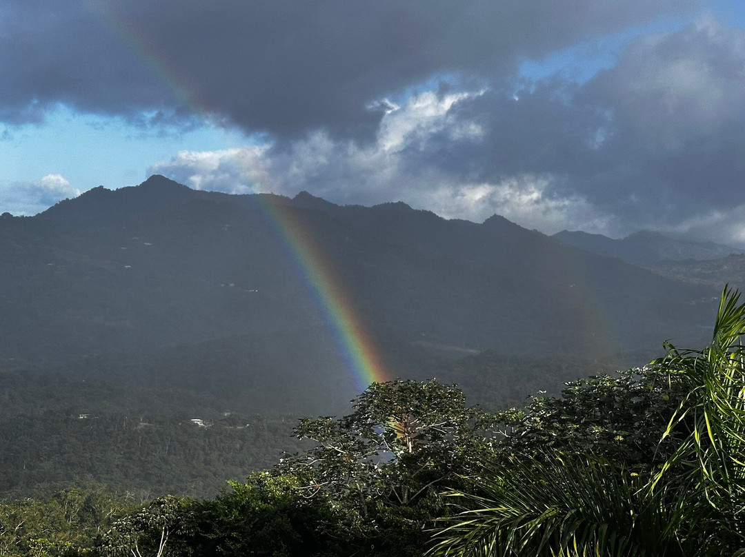 Sandra Farms Coffee-Adjuntas必去景点