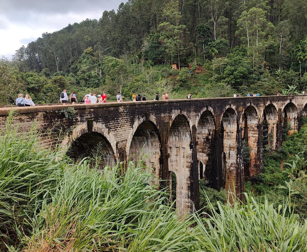 Rangi Tours-瓦都瓦必去景点