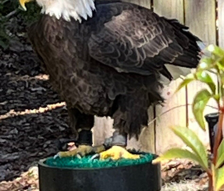 Moccasin Lake Nature Park-克利尔沃特必去景点