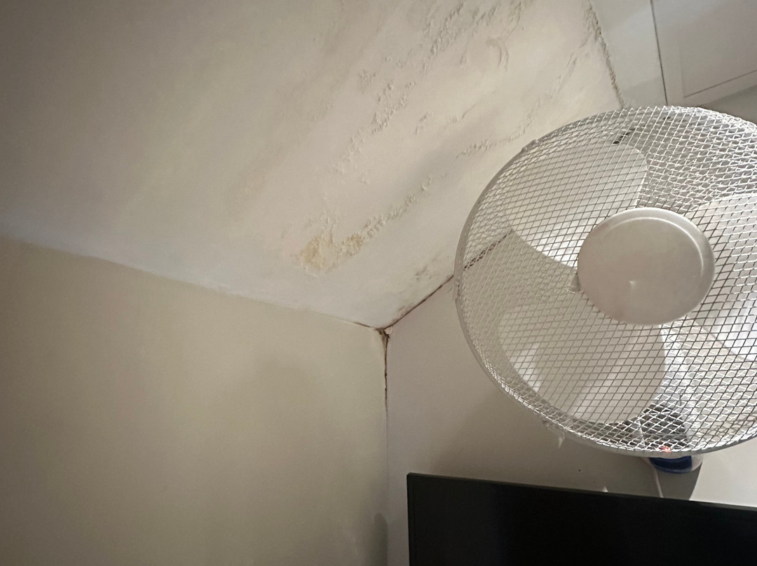 朱莉安娜酒店主图