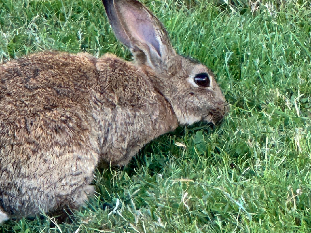 Edenwild Boutique Inn主图