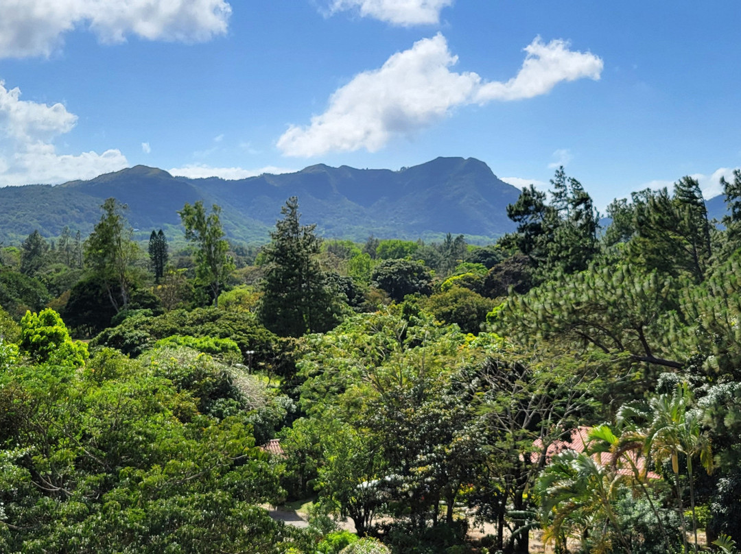 The Golden Frog Inn主图