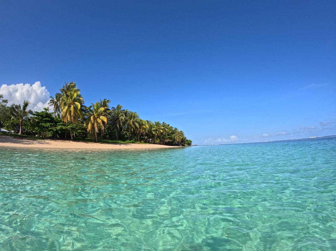 Janes Beach Fales主图