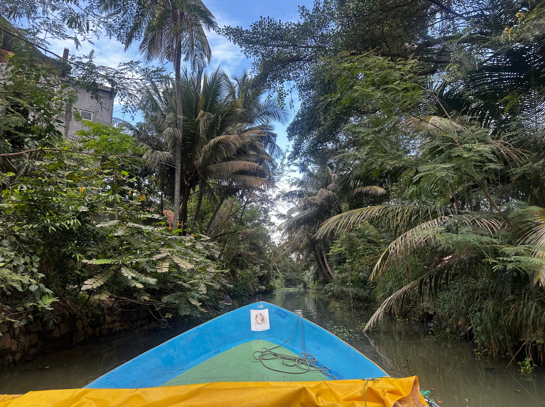 Liam Boat Safari景点图片