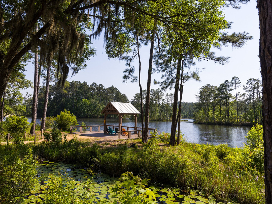 Lake Jasper Rv Village