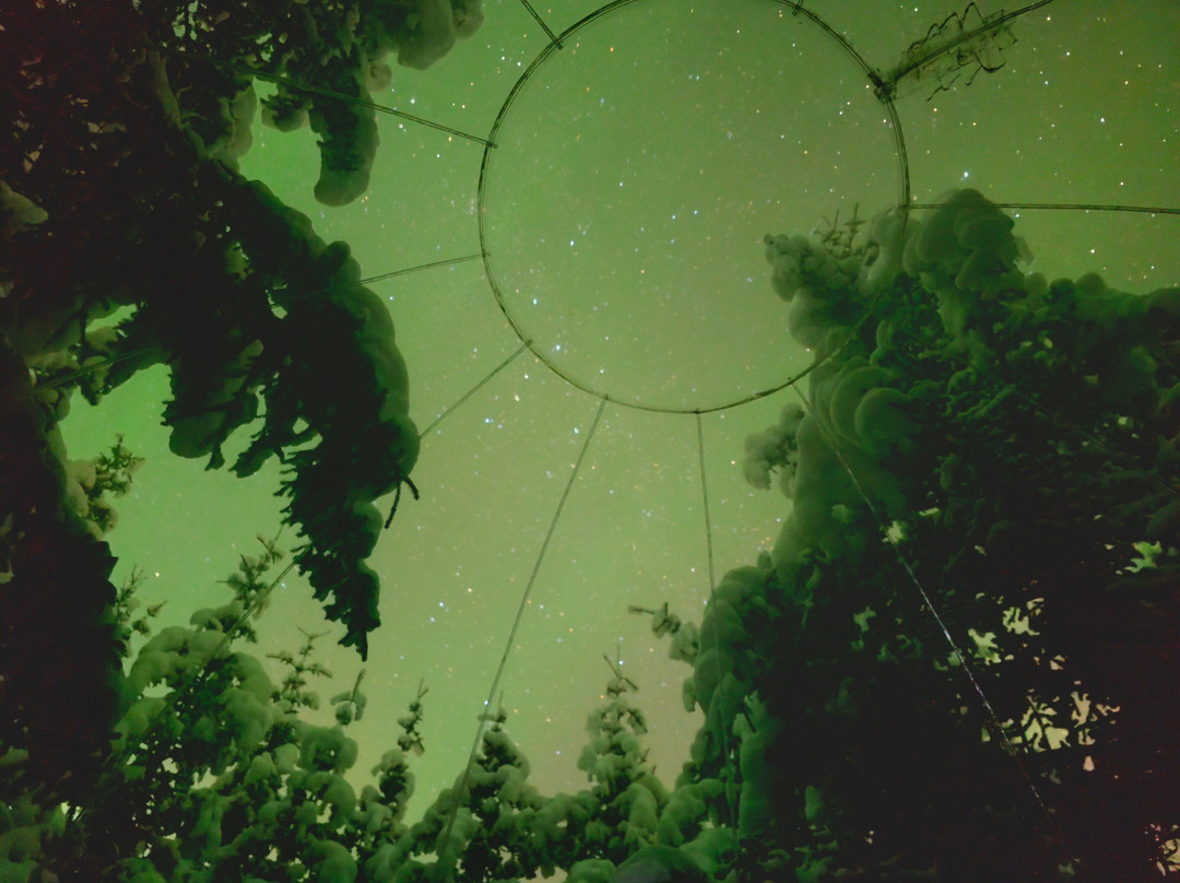 Buubble Tours-雷克雅未克必去景点