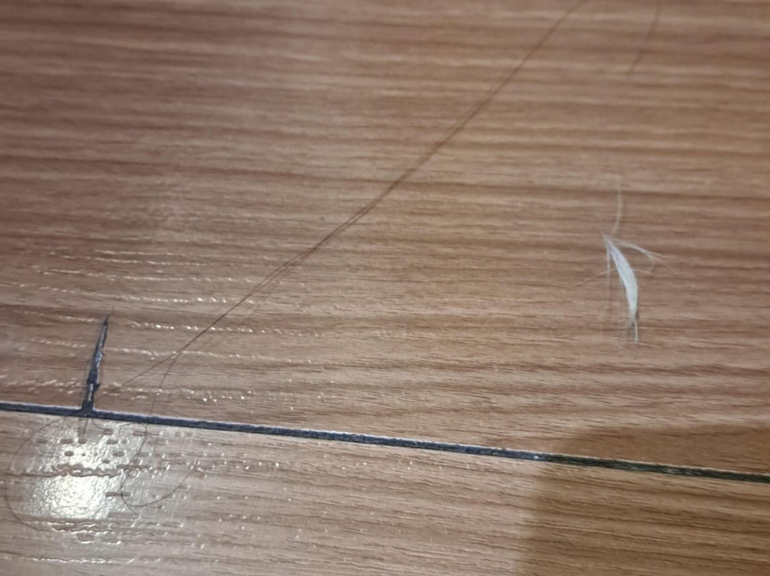 Fiesta Inn Saltillo主图