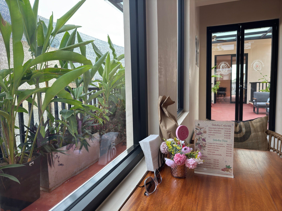 Casa Universitaria Cacao y Chocolate-Villahermosa必去景点