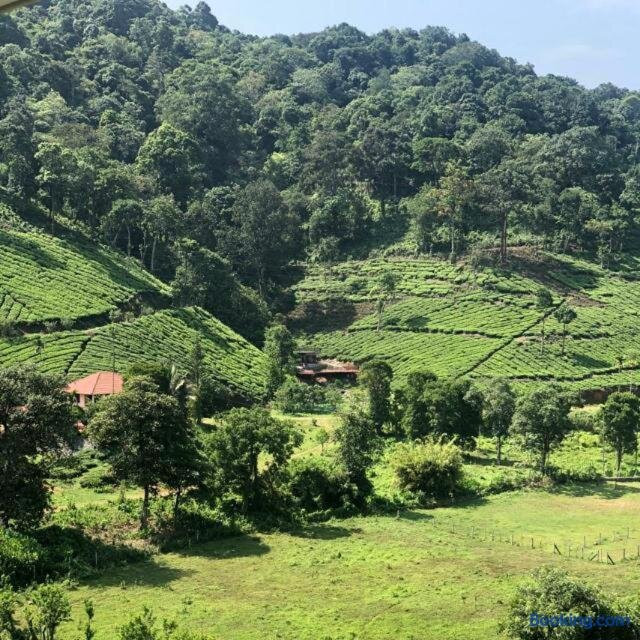 Tea Trees Service Villas