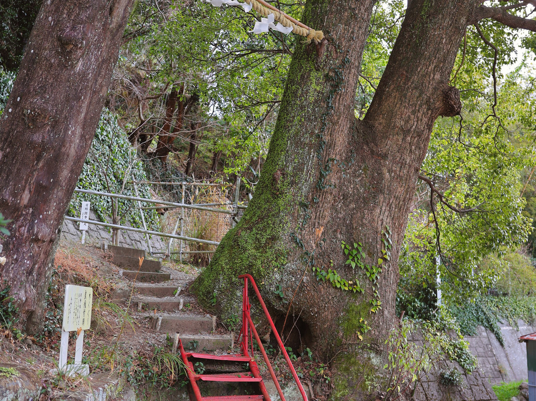 Toi Shrine-伊豆市必去景点