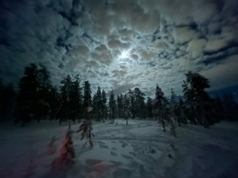 ArcticAdventures Lapland-罗瓦涅米必去景点