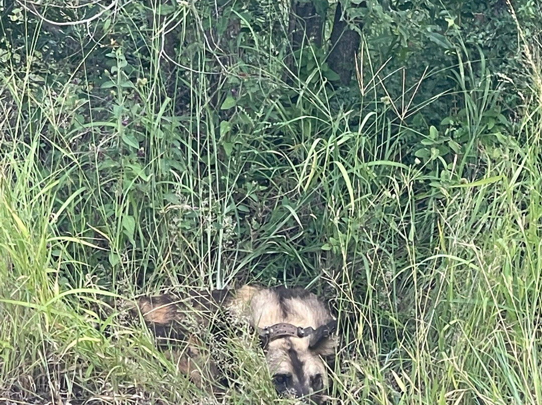 Sentashya Safaris-玛洛斯帕克必去景点