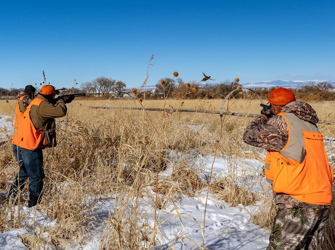 Pleasant Valley Hunting Preserve