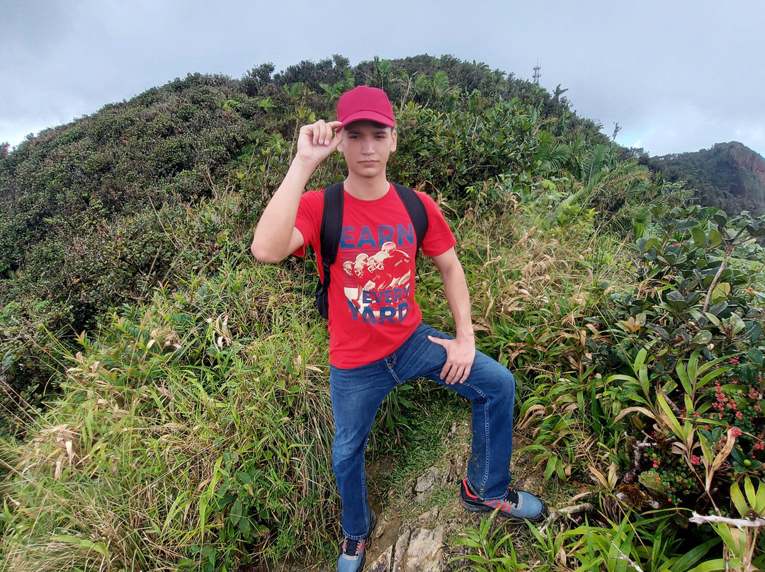 Torre Britton-云盖国家森林公园必去景点