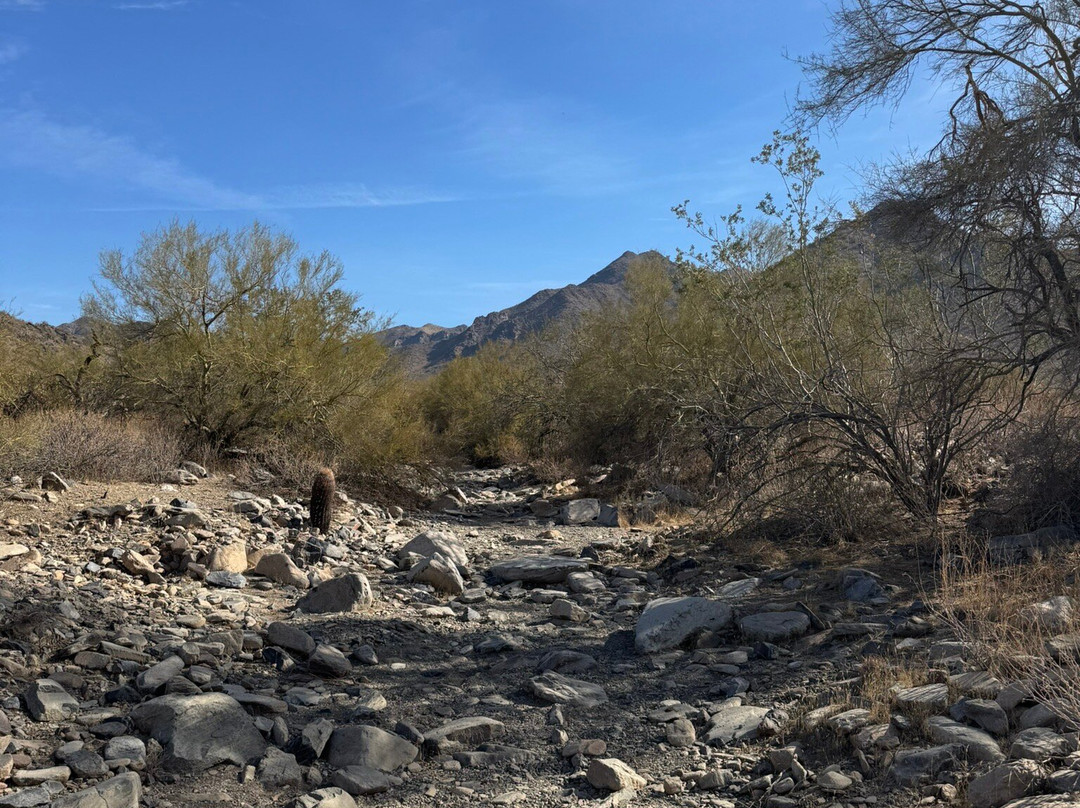 McDowell Sonoran Preserve-斯科茨代尔必去景点