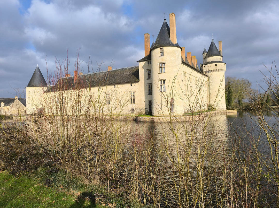 Chateau du Plessis-Bourré景点图片