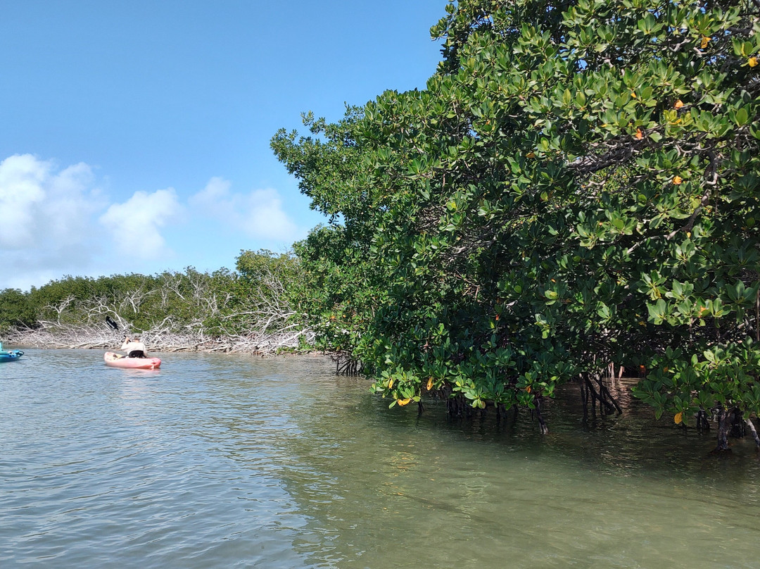 Paddle! the Florida Keys-伊斯拉摩拉达必去景点