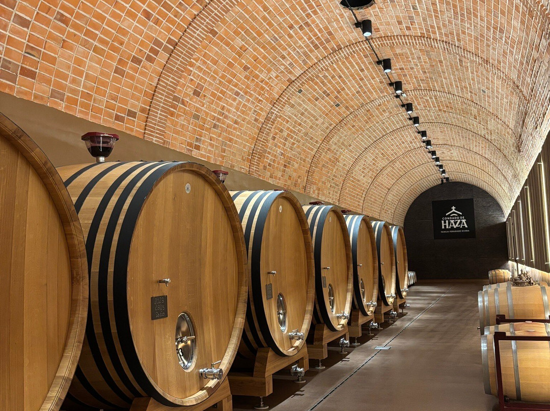 Grupo Pesquera, Bodega Condado de Haza景点图片