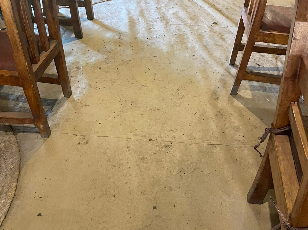 Africa Safari South Serengeti主图