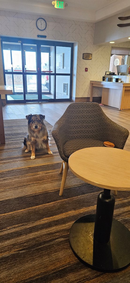 Holiday Inn 斯廷博特斯普林斯-浴室