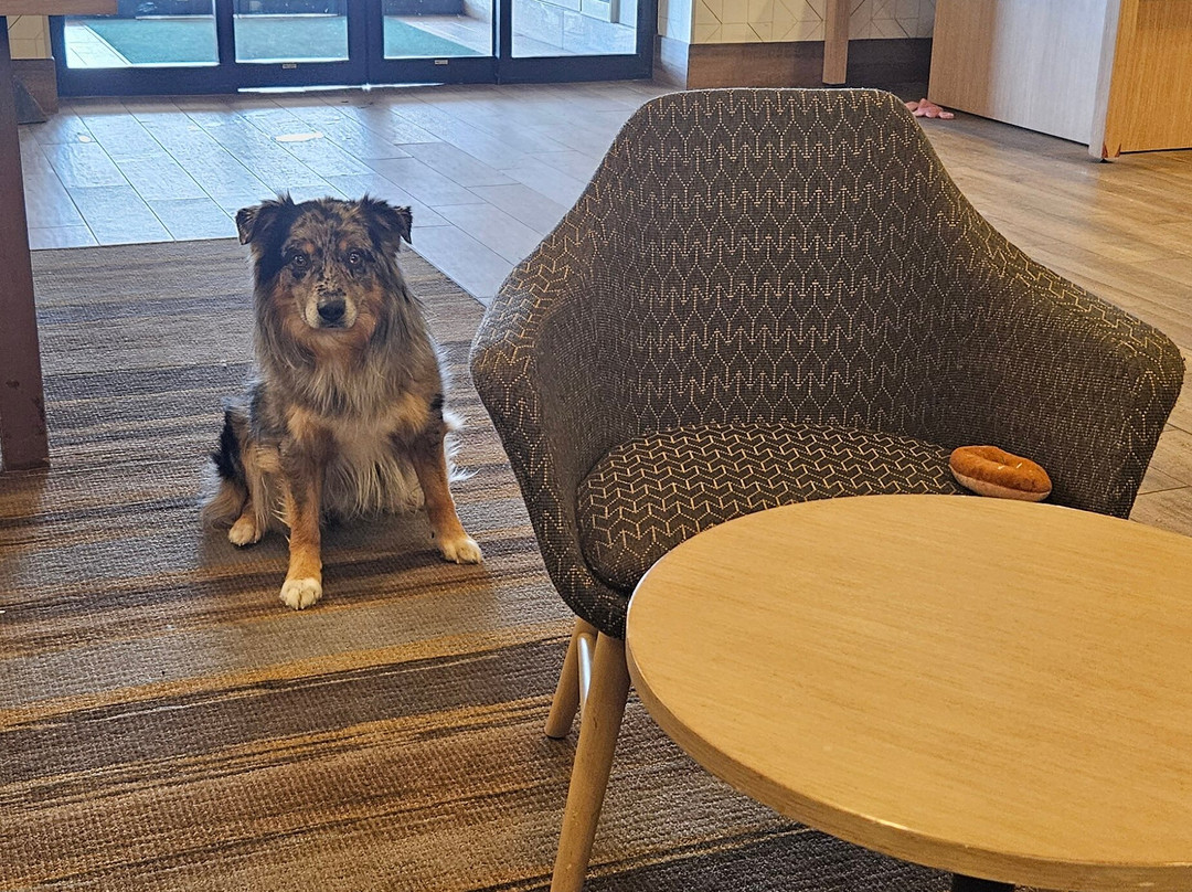 Holiday Inn 斯廷博特斯普林斯主图