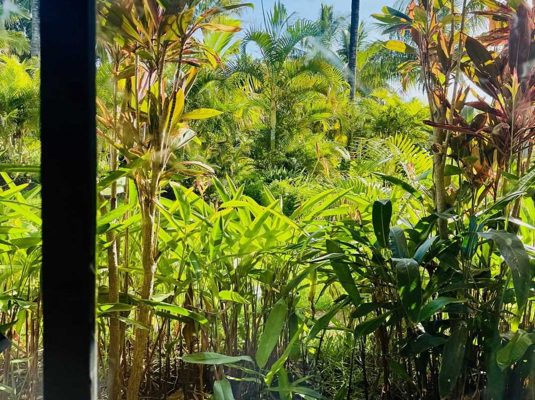 Hotel Taha Tai主图