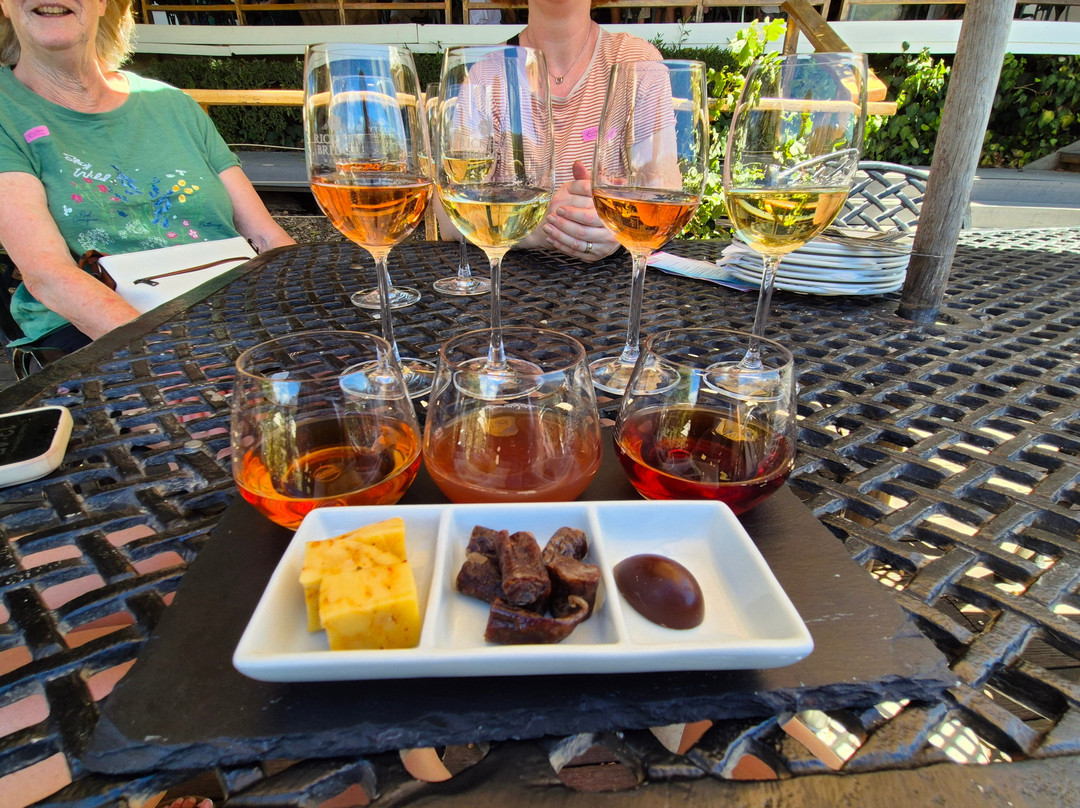 Rickety Bridge Wine Estate-法兰舒克必去景点