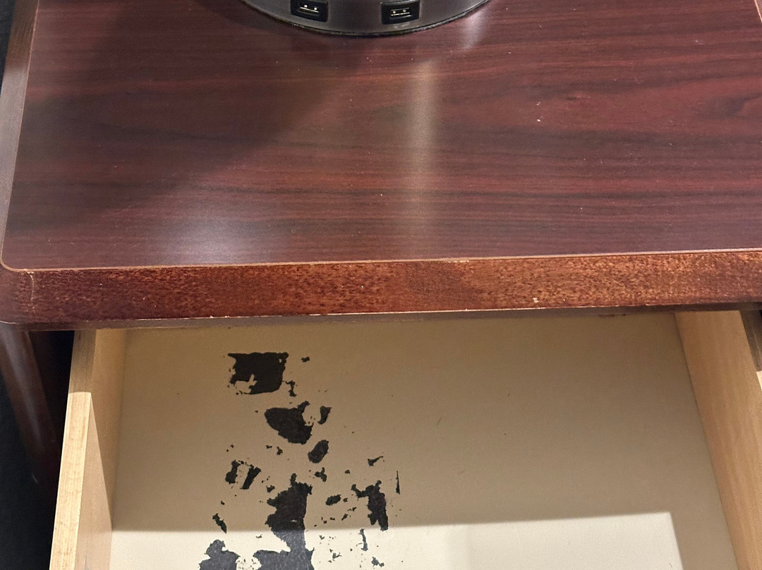 SpringHill Suites Florence主图