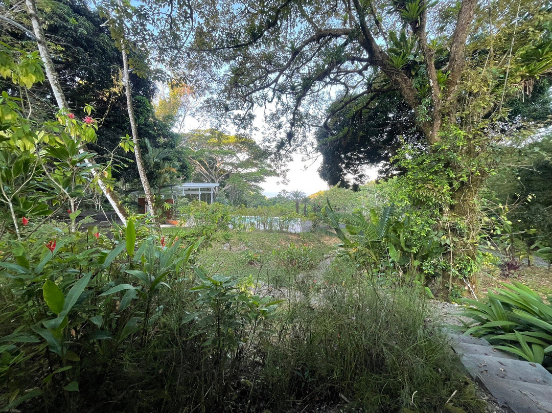 Tree of Life Cabinas主图