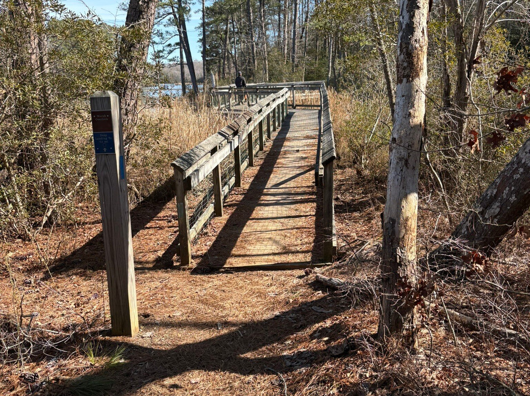 Bush Mill Stream Natural Area Preserve-Heathsville必去景点
