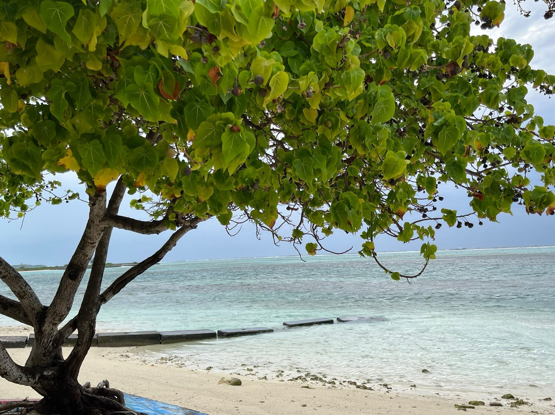 Triton Prestige Seaview and Spa主图