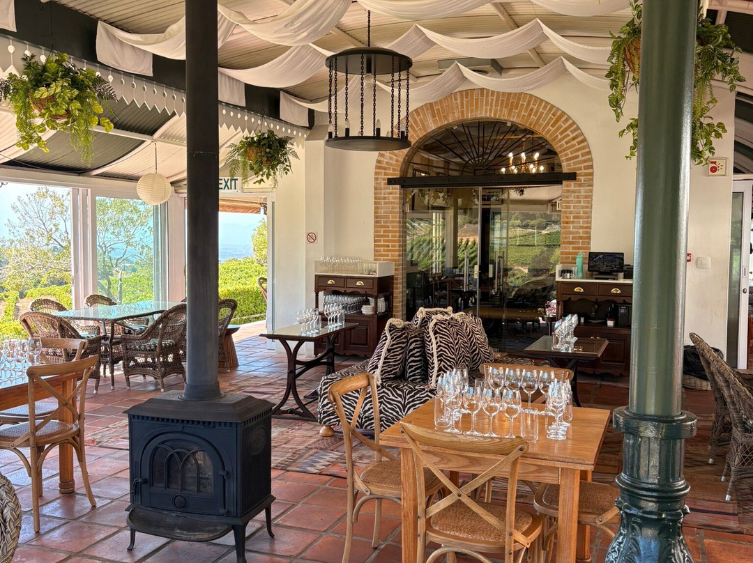 Raw Tours Cape Town-开普敦中心区必去景点