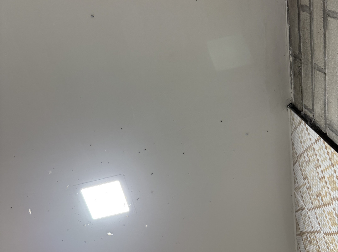 Pousada Recanto Das Árvores主图