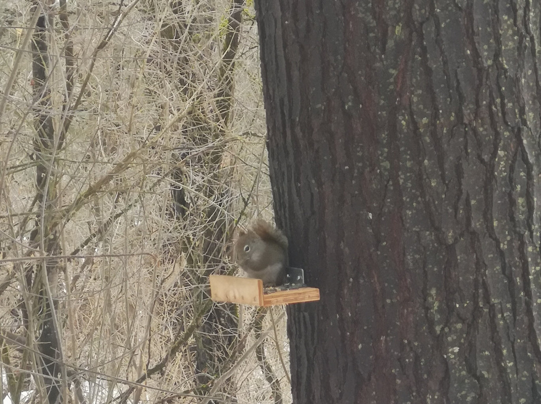 le Parc Historique de la Poudriere de Windsor-Windsor必去景点