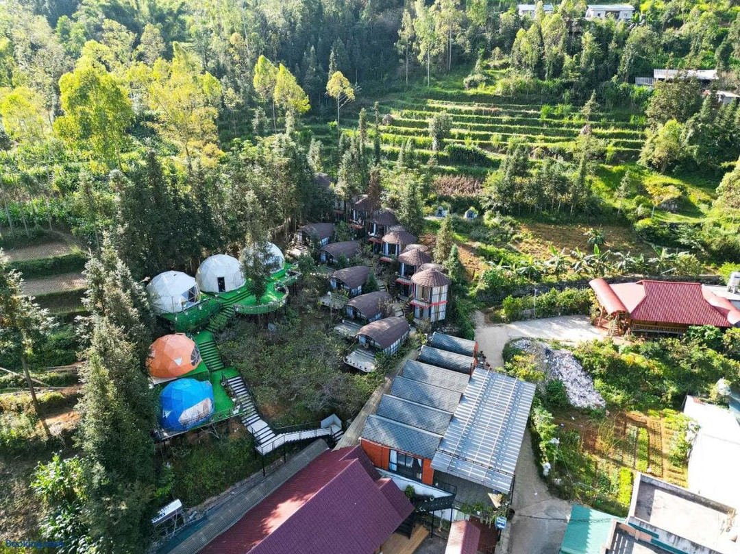 Plum Homestay Dong Van
