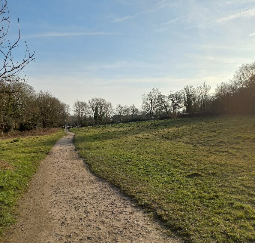 Ruislip Woods National Nature Reserve景点图片