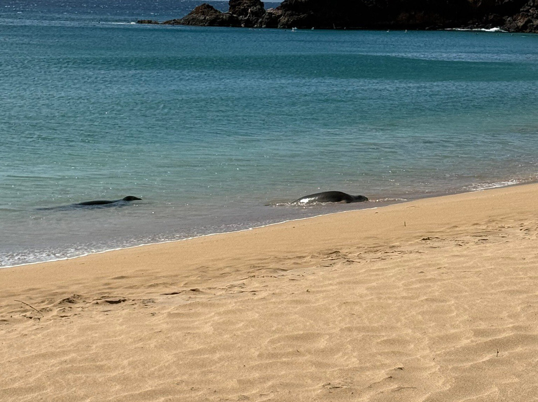 Black Rock Beach-卡纳帕利必去景点