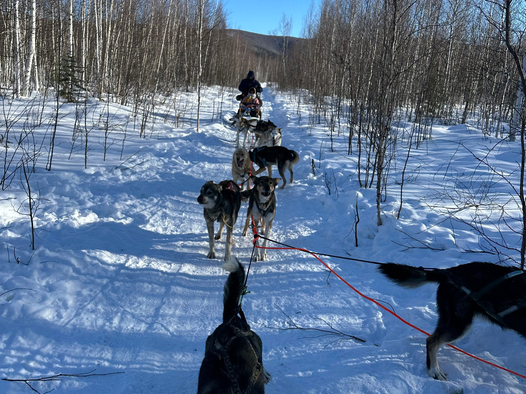 Cotter's Sled Dog Tours景点图片