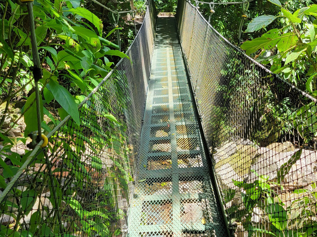 El Chorro Macho景点图片