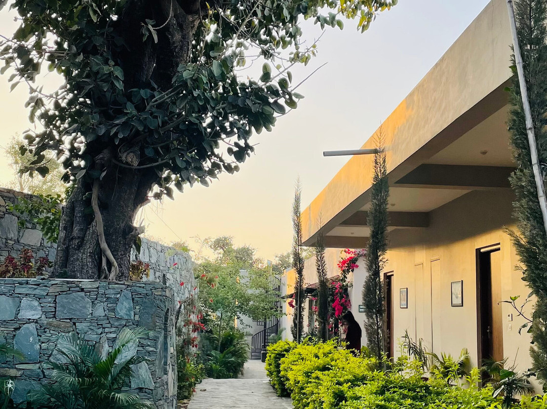 Kumbhal Exotica Resort Kumbhalgarh主图