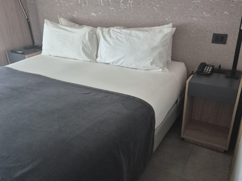 阿尔马苏尔普罗维登西亚酒店主图