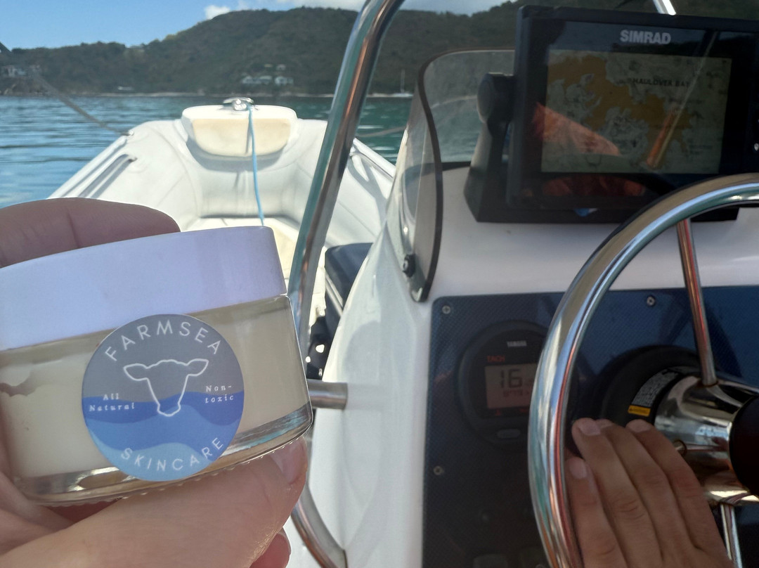 Dockside Dinghy-Coral Bay必去景点