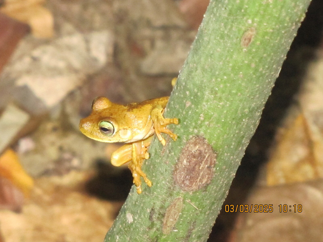 Posada Ecológica Casa María主图