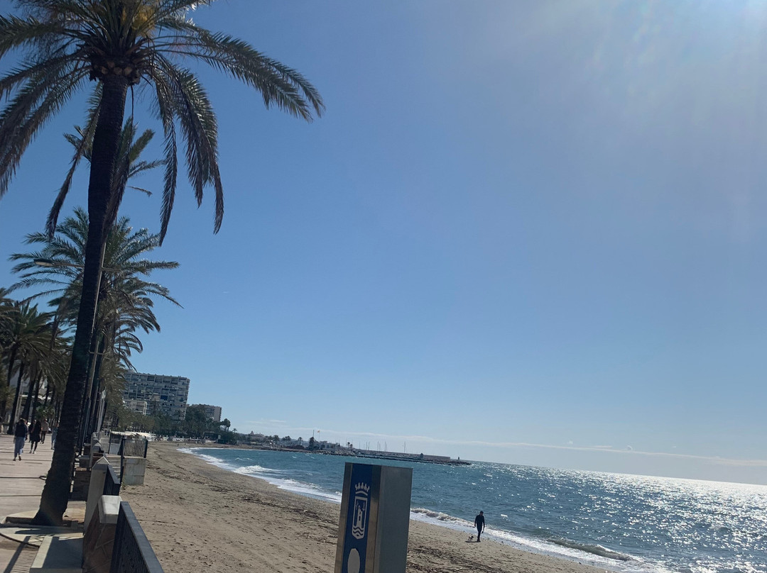 Playa de la Fontanilla景点图片