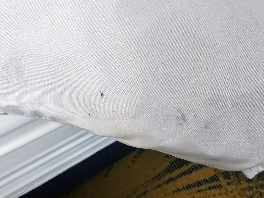 Days Inn by Wyndham Roanoke Near I-81主图