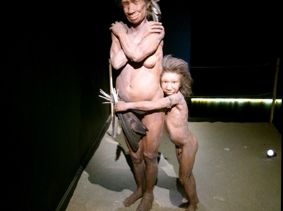 The Gibraltar National Museum-直布罗陀必去景点