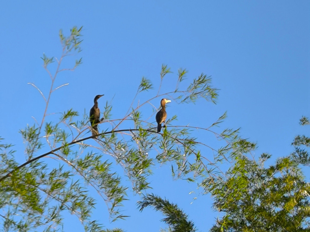 Navegando Ituzaingó
